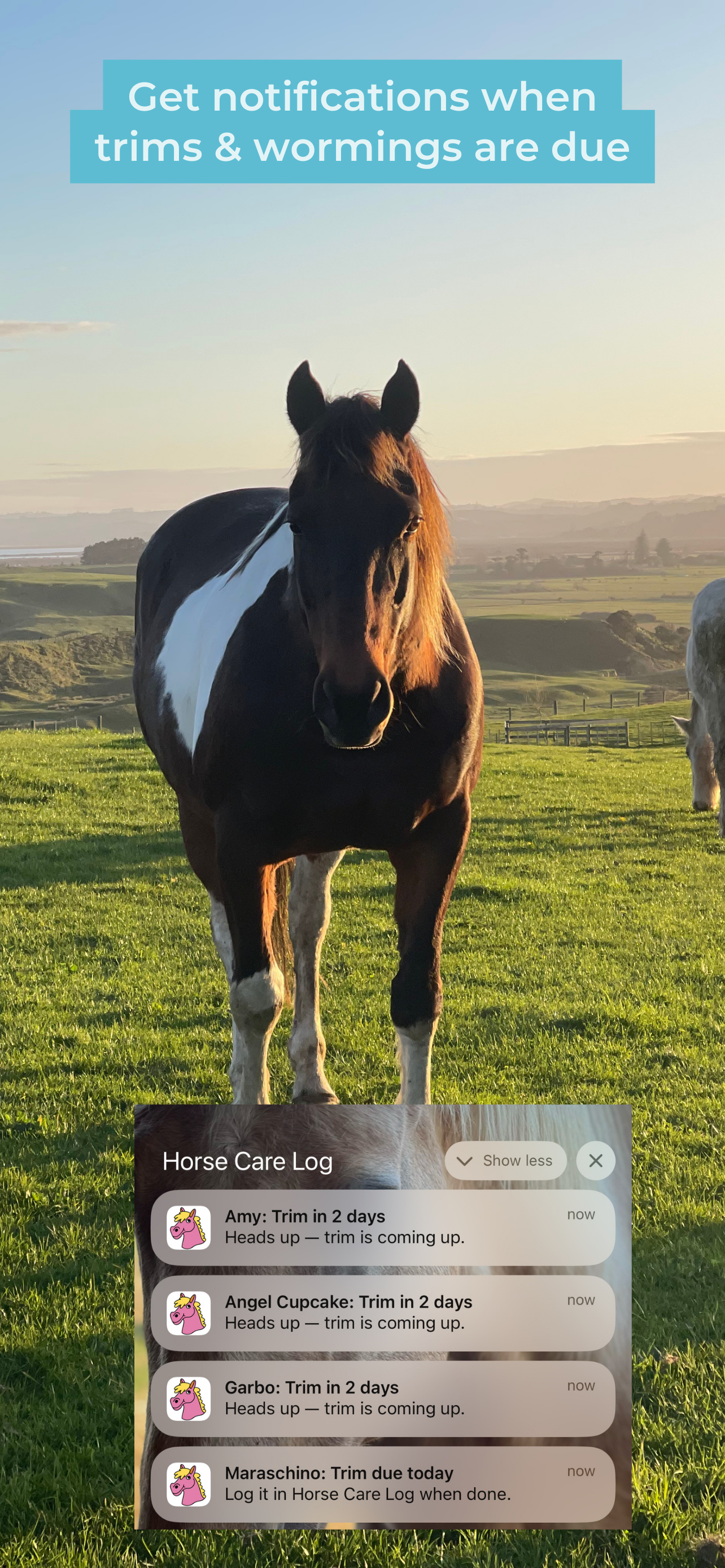 Horse Care Log