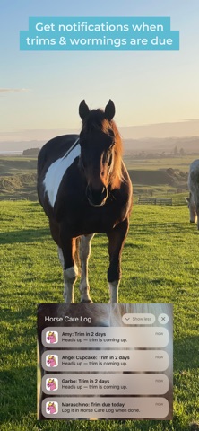 Horse Care Log Screenshot 8 of 10