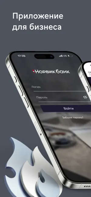 Норвик Бизнес screenshot 1