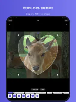 BatchResizer3 screenshot 7