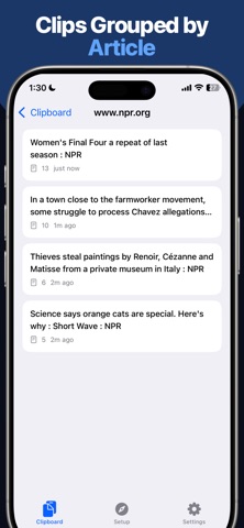SmartSelect: Safari Clipboard Screenshot 5 of 5