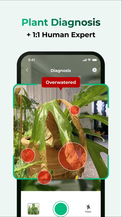 Plant Care: Plantingo screenshot-4