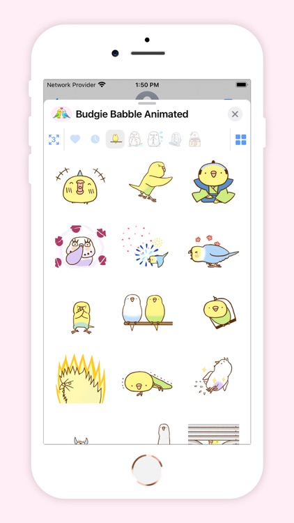 Budgie Babble Animated!