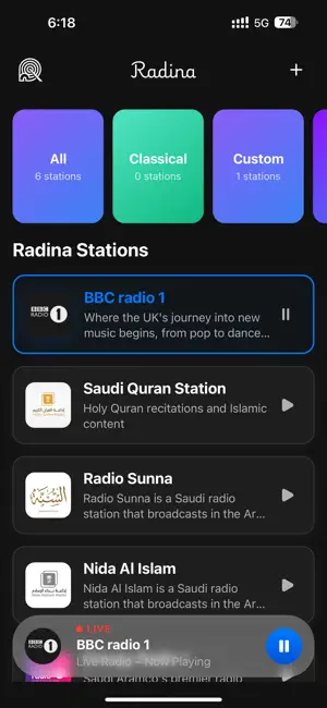 Radina screenshot 2