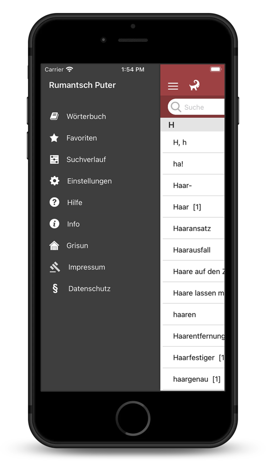 #4. Dicziunari Rumauntsch Puter (iOS) 由: Walter Degonda