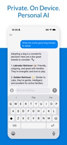 Private AI Chat App: Prompt screenshot