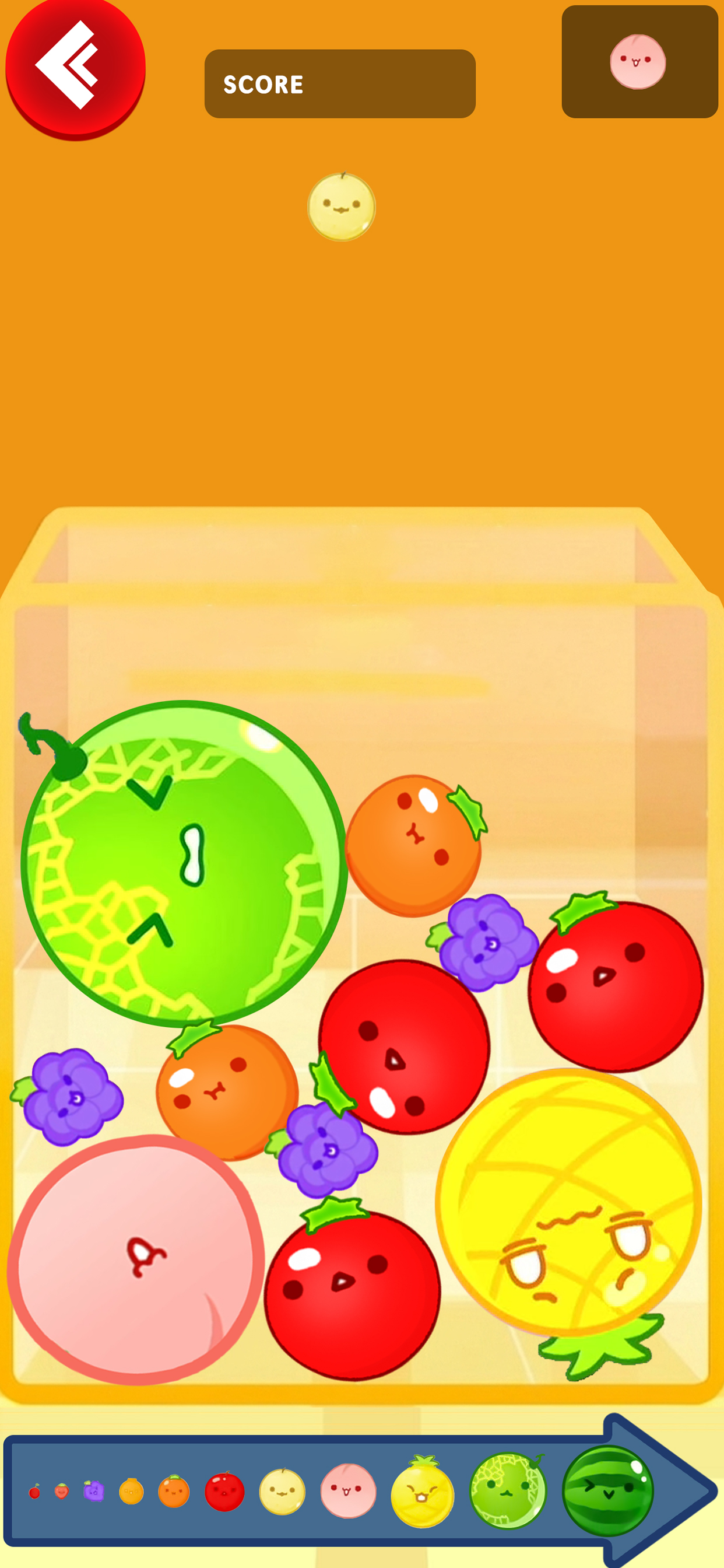 Watermelon Fruit Line Game 26