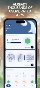 Pollution • Pollen • Widget screenshot