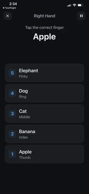 NeuroAnchorX screenshot 3