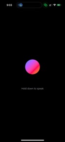 Senti - Offline AI Voice Chat screenshot