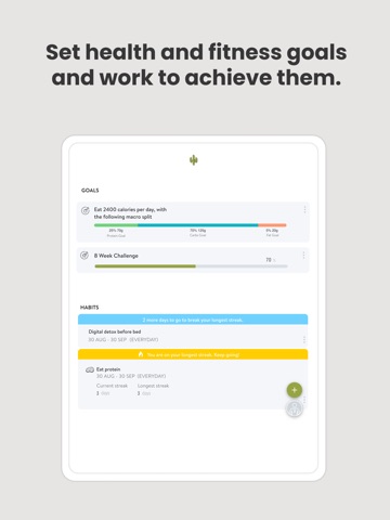 IMpfit iPad screenshot