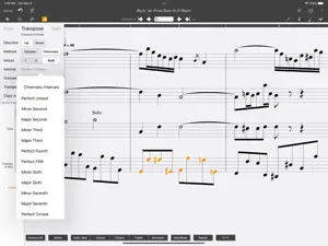 MusicJot TryOut screenshot 3