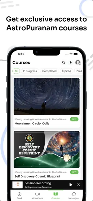 Astro Puranam Collective screenshot 3