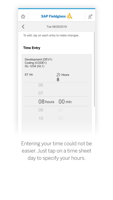 SAP Fieldglass Time Entryのおすすめ画像4