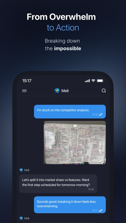 Meli - Your AI Autopilot screenshot-5