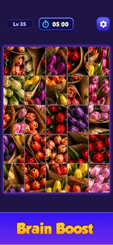 Jigsaw Solitaire Game Screenshot 6 of 6