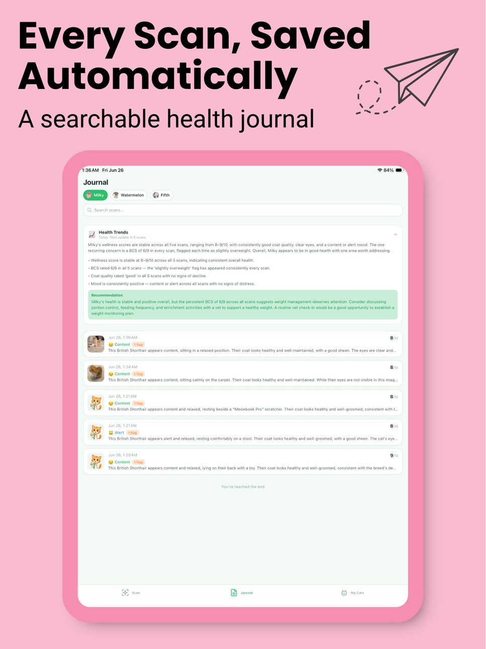 iPad screenshot