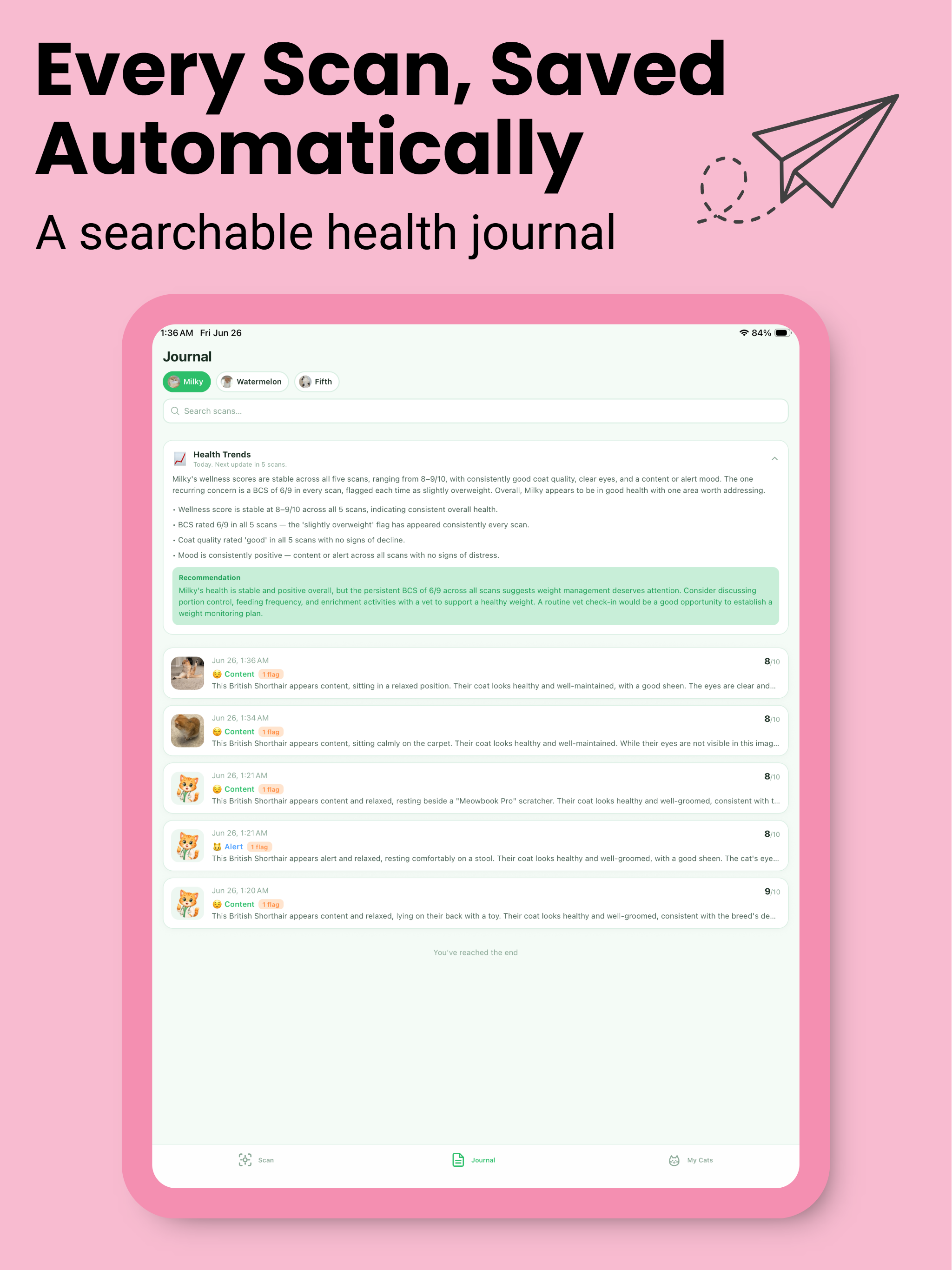 Cat Health Tracker: Dr. Meow