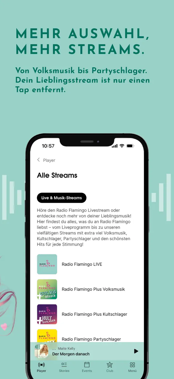 Screenshot #3 pour Radio Flamingo