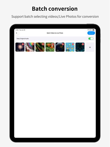 LivePhotoX-Video to Live Photo iPad screenshot