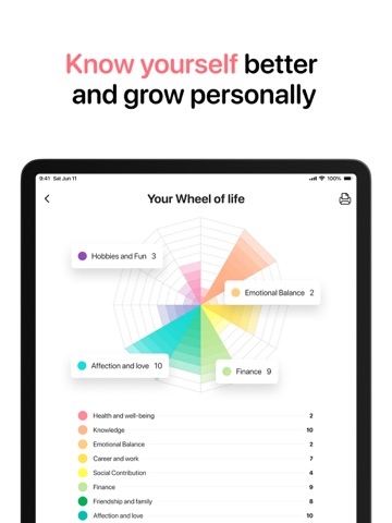 Wheel of Life: Mentor yourself iPad screenshot