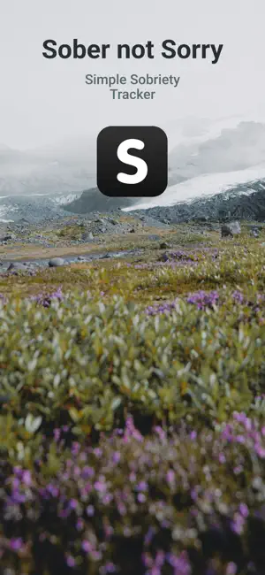 Sober not Sorry screenshot 1