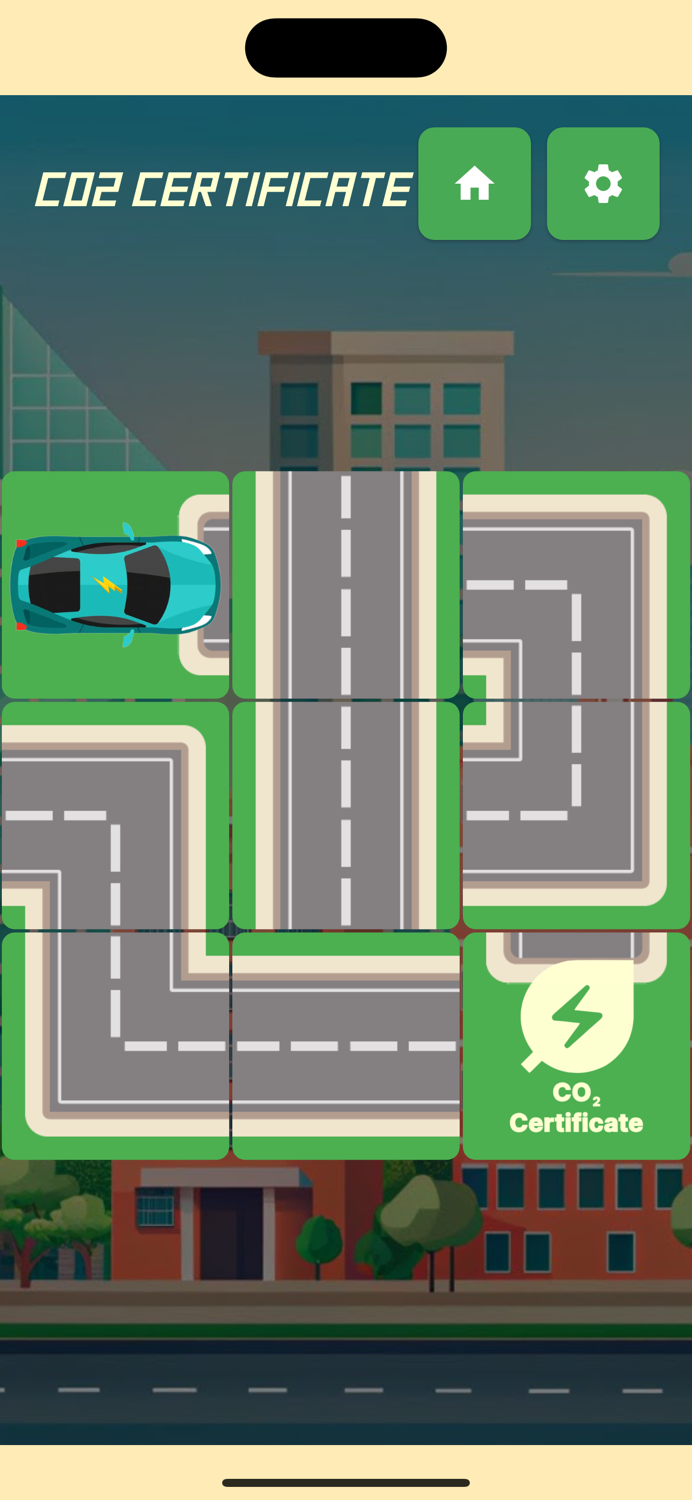 Electric Vehicle Driver