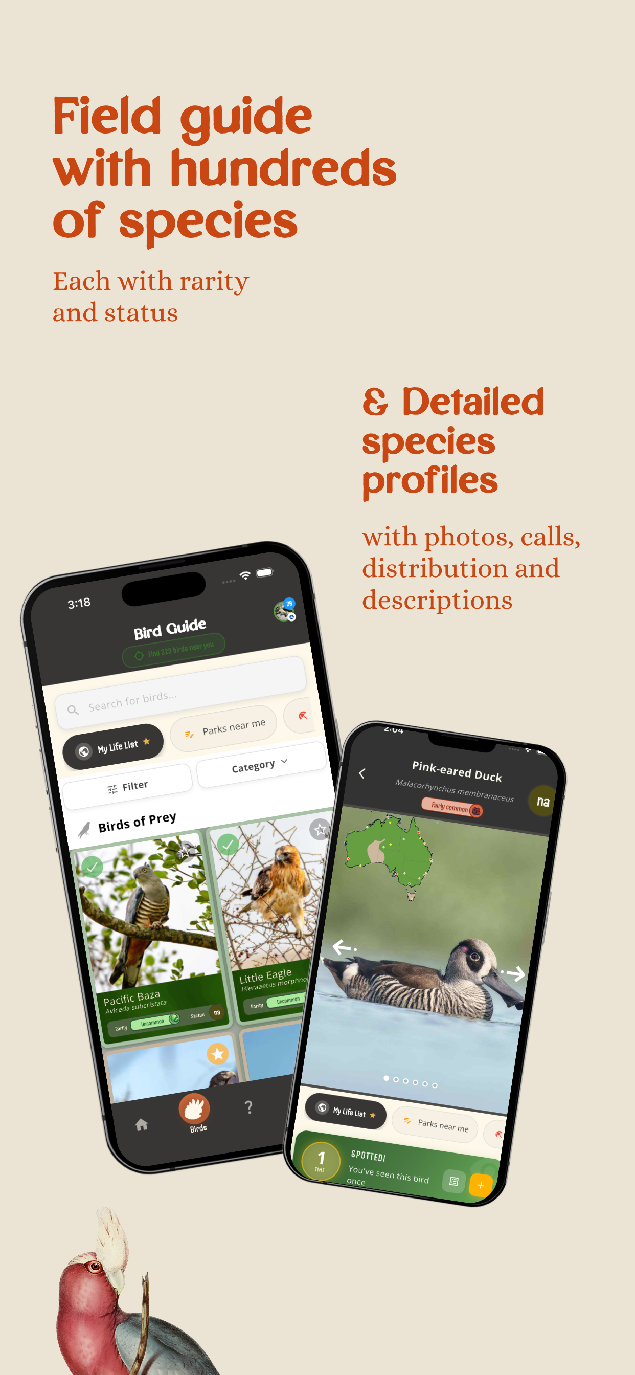 Wingmate Birds screenshot 4