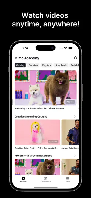 Mimo Academy screenshot 1