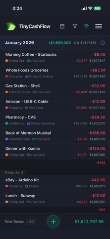 TinyCashFlow screenshot