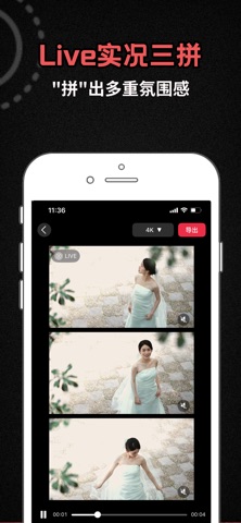 livephotool screenshot