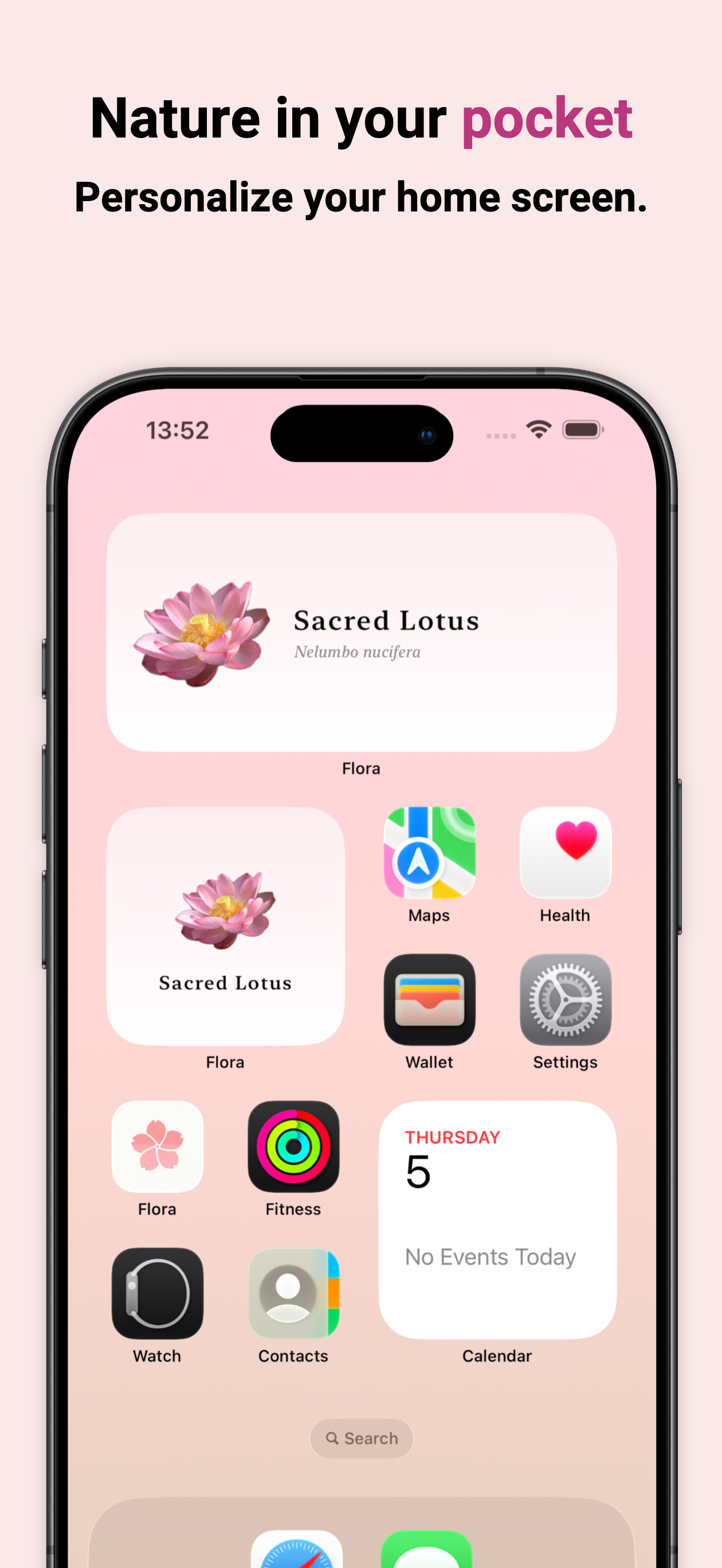 Flora - Flower of The Day