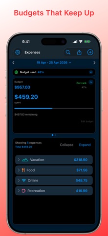 SpendWise: Expense Diary Screenshot 4 of 10