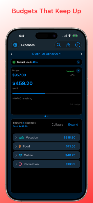 SpendWise: Expense Diary Screenshot 4 of 10