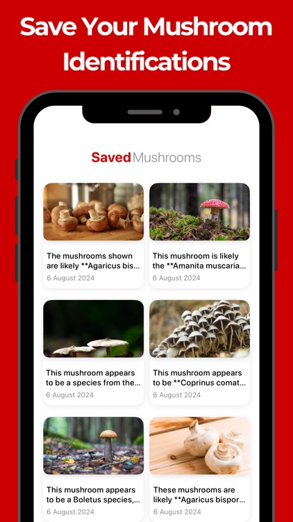 Mushroom Identifier: AI Id