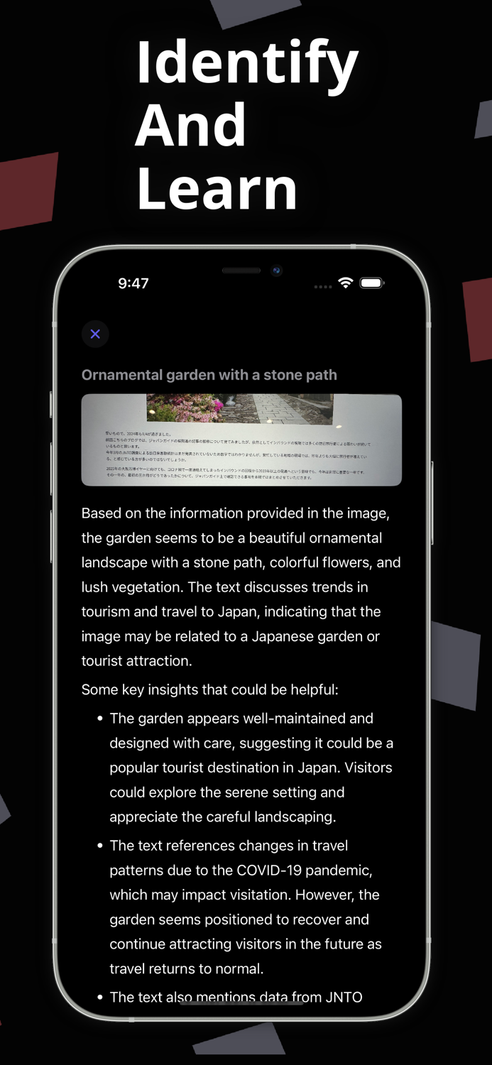 What am I looking at?