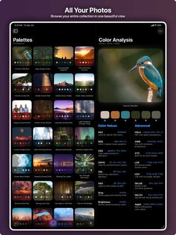 Colix: Palette from Images ipad screenshot 3