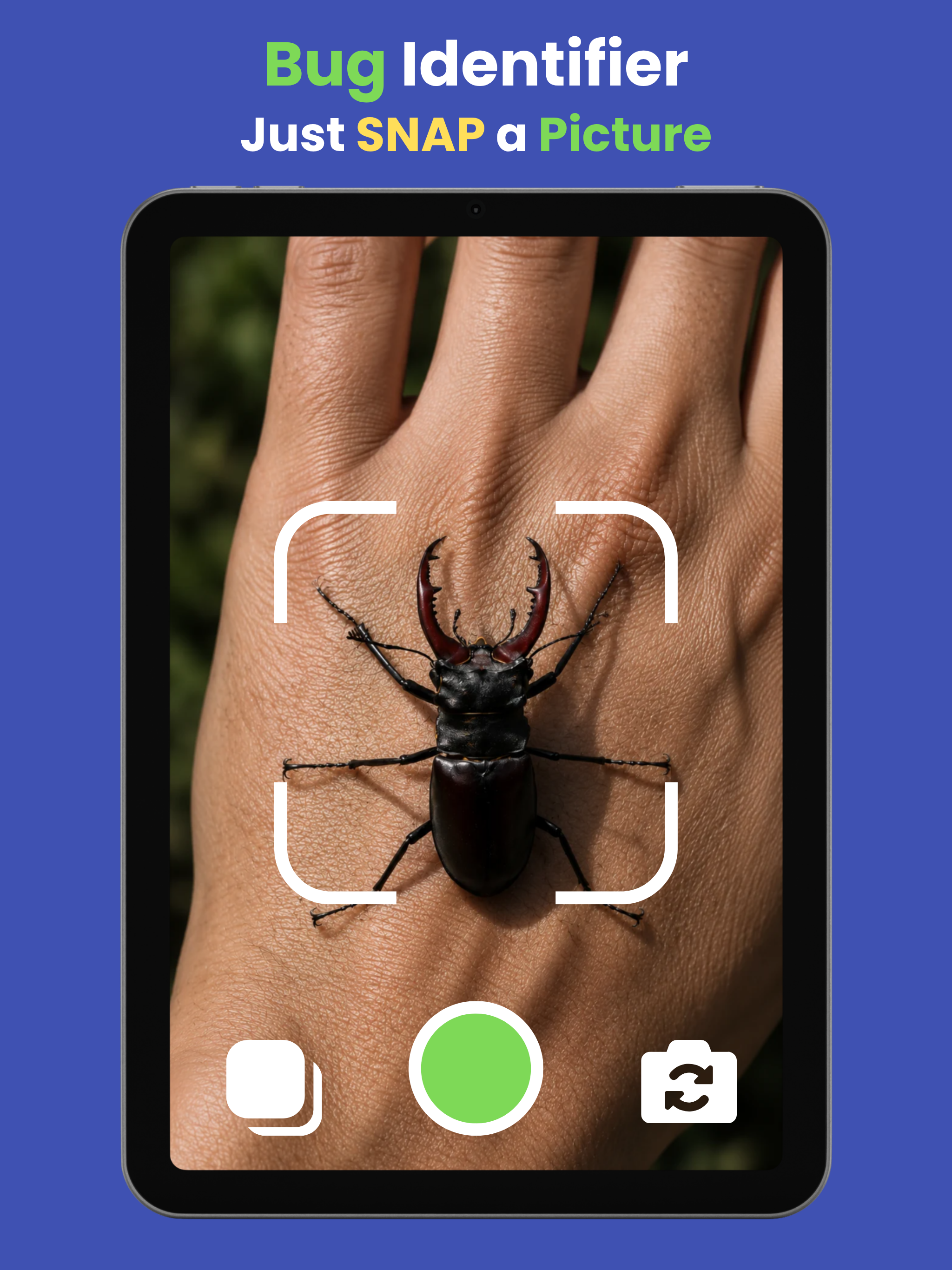 Bug Identifier 2026 screenshot 4
