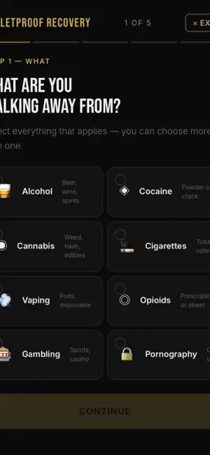 Bulletproof Recovery screenshot 4