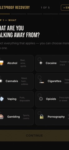 Bulletproof Recovery screenshot