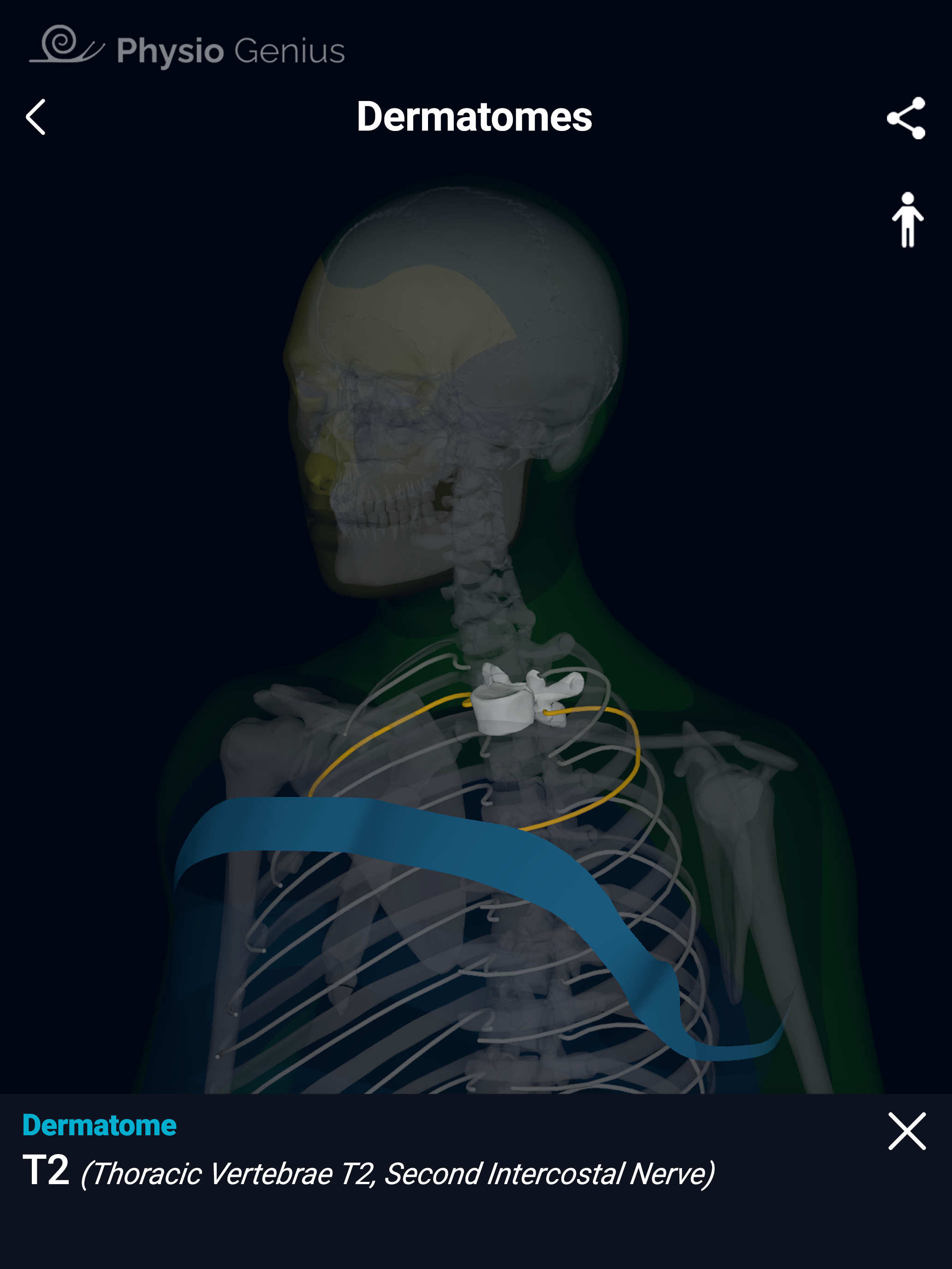 Physio Genius – 3D Maps