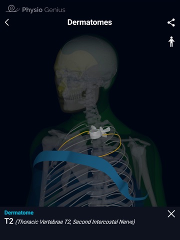 Physio Genius – 3D Maps iPad screenshot