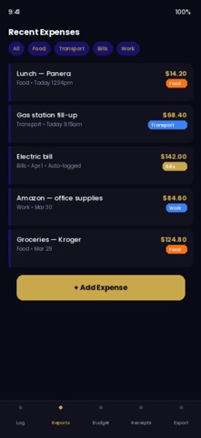 AriseExpense screenshot