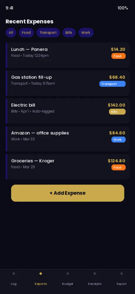 AriseExpense screenshot 2