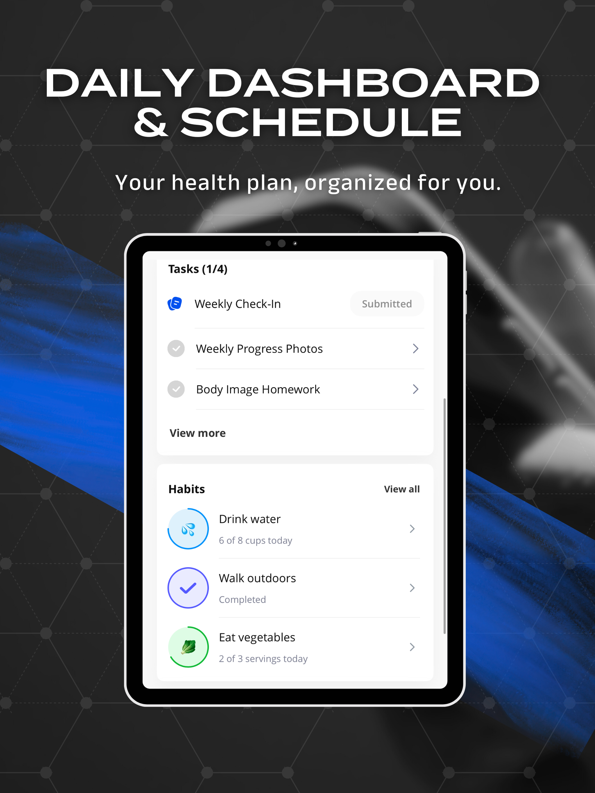 LVLTN Health