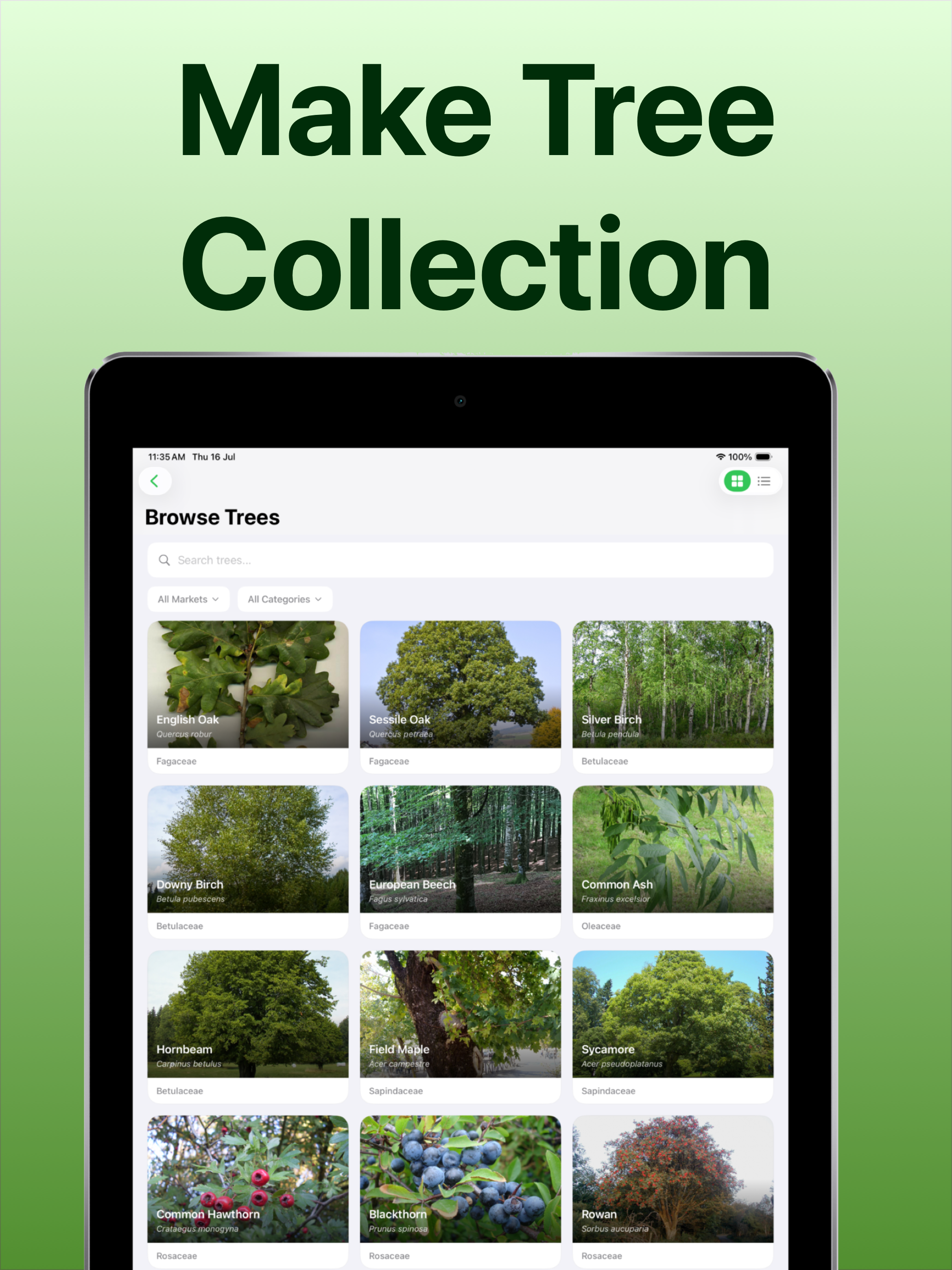Tree Identifier: Tree id screenshot 8