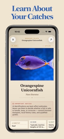 Fish Identifier screenshot