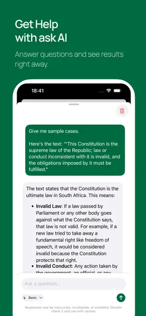 South Africa's Constitution screenshot 4