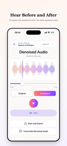 NoiseGone: Audio Cleaner Screenshot 3 of 6