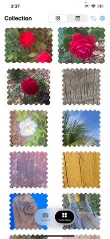 Stamp That: Stamp Maker Screenshot 5 of 6